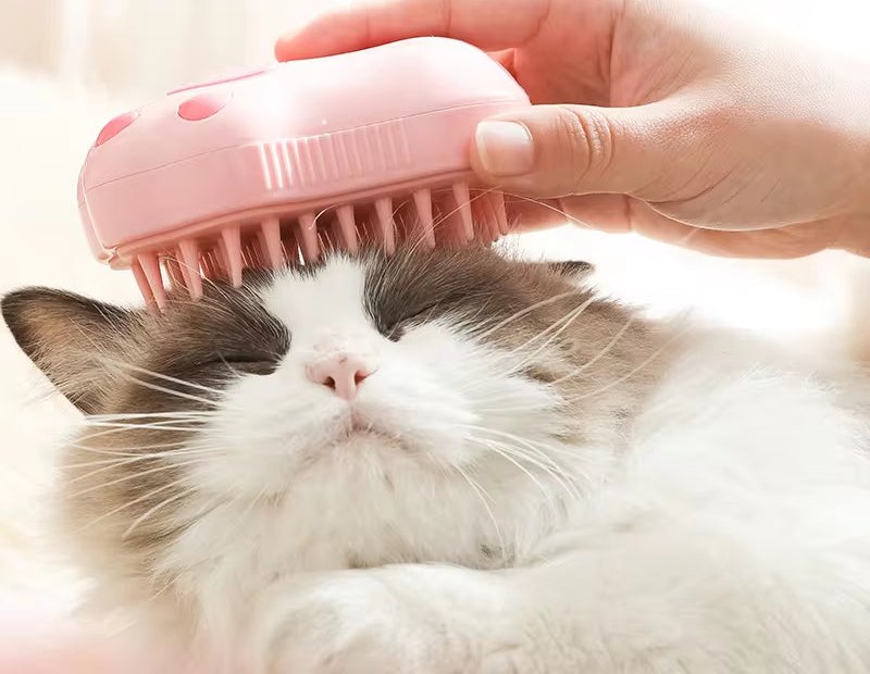 Gato relajado mientras lo cepillan con el cepillo de vapor rosa